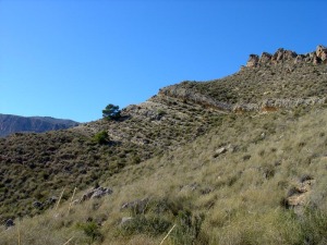 Panormica de uno de los mejores yacimientos de rudistas y moluscos litorales del Cretcico inferior de Murcia 