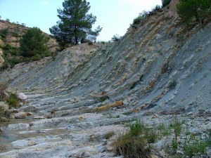 Vista de un yacimiento de ammonites del cretcico inferior 