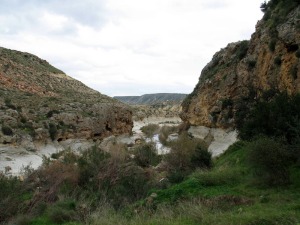 En Murcia hay buenos yacimientos de vegetales cretcicos y cuaternarios. Panormica de los travertinos de los Baos de Mula 