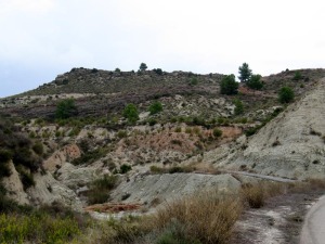 Los yacimientos de ammonites murcianos son de importancia mundial. Pea Rubia de Cehegn es uno de ellos 