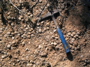 En algunos parques naturales de la regin de Murcia, los yacimientos paleontolgicos son un componente ms del patrimonio natural. Nummulites de Sierra Espua 