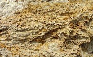 Detalle de los travertinos de la rambla del Salar 