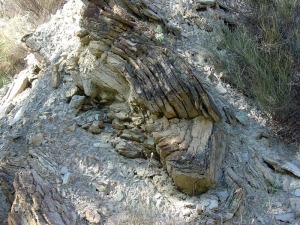 Detalle de un paleodeslizamiento aguas abajo del barranco del Mulo 