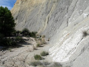 En primer plano eflorescencias salinas en las margas cretcicas oscuras. El color de las margas indica que se formaron en ambientes marinos sin oxgeno 