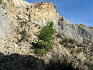 Los desprendimientos son procesos geolgicos muy comunes en las laderas 