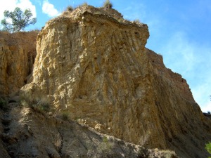 Detalle de una terraza del barranco del Mulo sobre estratos verticales del cretcico, otra magnfica discordancia 