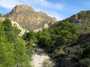 El cauce del barranco del Mulo es adecuado para el senderismo. Al fondo areniscas cretcicas de la Loma de Planes 