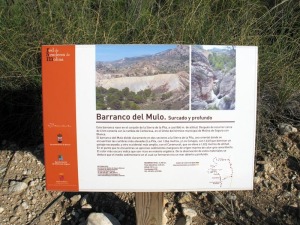 Los carteles de Naturaleza ya empiezan a incluir, afortunadamente, explicaciones geolgicas. Cartel del barranco del Mulo donde se comenta el origen de sus rocas [Barranco Mulo]