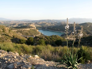 El agua del embalse de la Cierva se entremezcla entre las calizas del Eoceno. Paisaje y geologa son inseparables [rambla Perea]