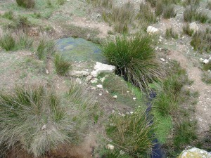 El nacimiento de Fuente Caputa 