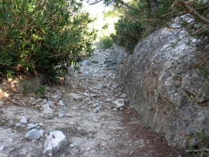 Un plano de falla junto al barranco del Veto 