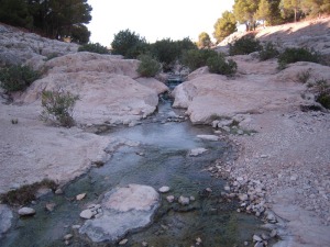 La rambla de Perea lleva un caudal constante en su cabecera 