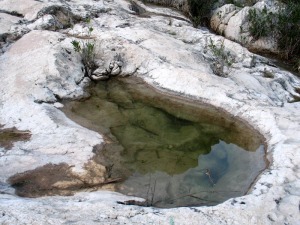 Son comunes los pilancones. Pequeas pozas originadas por la disolucin de la roca caliza por el agua 