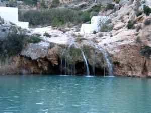 La incesante cascada ha generado rocas de travertinos al precipitar carbonato clcico sobre la vegetacin 