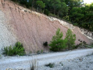 Margas rosadas de la Formacin Pliego. Son de ambiente continentales del Oligoceno-Mioceno inferior 