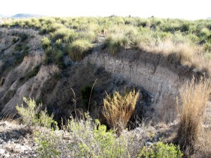 Erosin semicircular de la cabecera barranco. Su origen fue un piping. Los suelos tienen, en ocasiones, un alto contenido en materia orgnica 