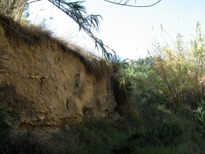 Una terraza fluvial que contiene sedimentos de diversos tamaos debido a la diferencia de caudal 