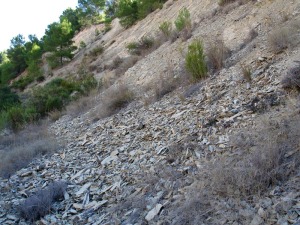 El intenso diaclasado de las margas causa estos depsitos de piedemonte 