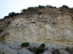 Depsitos de travertinos y conglomerados fluviales plio-cuaternarios (unidad IV) 