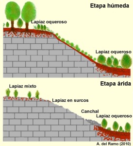 Figura 4. Evolucin de los lapiaces [dolina Inazares]