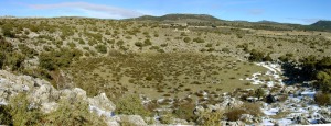 Panormica de la dolina desde el noreste [dolina Inazares]