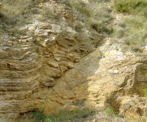 Falla normal en los materiales paleozoicos de la bahía de Portmán 