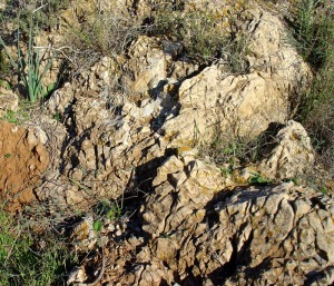 Calizas alpujrrides brechificadas y karstificadas en el ascenso al monte de las Cenizas 