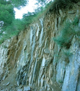 Estratificacin vertical en las cuarcitas del Nevado-Filbride 