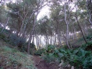 La senda existente al oeste de la batera supone una ruta alternativa para volver al punto de partida 