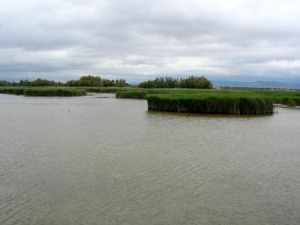 Los espacios naturales protegidos se sustentan en la geodiversidad y en algunos casos es el principal componente del patrimonio natural. Las Tablas de Daimiel deben su importancia a su hidrogeologa