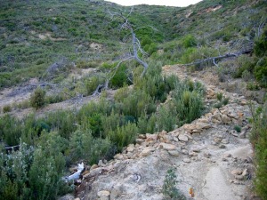 El coleccionismo y comercio de fsiles, minerales, rocas, meteoritos... destruyen el patrimonio geolgico en beneficio de unos pocos. Una enorme zanja realizada para esquilmar un yacimiento de fsiles