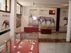 Algunos municipios de la Regin de Murcia tienen museos que incluyen los bienes muebles de su patrimonio geolgico. Museo Jernimo Molina de Jumilla 