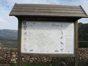 Los fsiles son la biodiversidad del pasado. Es agradable ver paneles que la incluyen junto a la fauna y flora actual. En la parte inferior izquierda un trilobites, sierra de Villuercas-Ibores