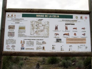 Las minas de la Celia en Jumilla son importantes por sus colonias de murcilagos y, a nivel mundial, por sus rocas (jumillitas) y minerales (apatito). Se merecen su musealizacin 