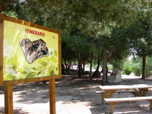 Los jardines de las ciudades se pueden utilizar para ensear geologa. Museo de rocas al aire libre de la Regin de Murcia. Campus de la Universidad de Murcia 