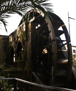 Rueda de agua en el Museo de la Huerta de Alcantarilla 