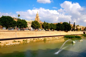 Panormica del ro Segura mostrando el monumento a la Sardina y de fondo la Catedral de Murcia 