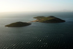 Isla Perdiguera