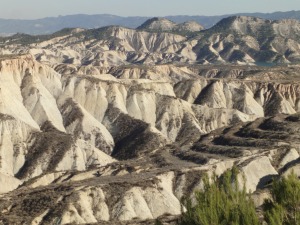 Desertificacin en la Regin de Murcia