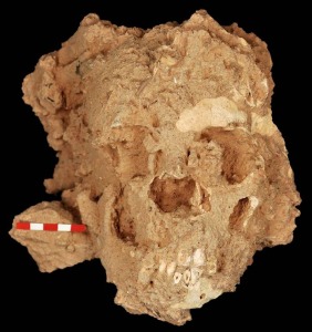 Crneo de nio neandertal