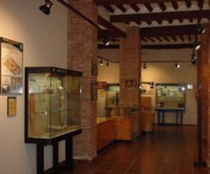 Sala Exposicin Museo Arqueolgico de guilas