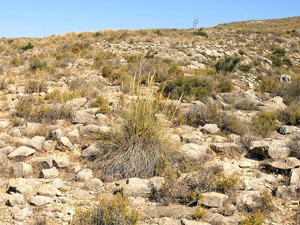 Calzada Romana de los Grajos