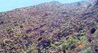 Ruta de la umbr�a.