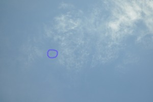 paracaidistas en vuelo 