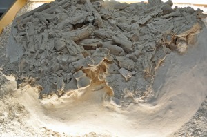 acumulaciones fsiles 