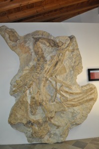 fsil de mamut 