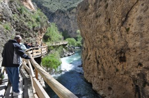 Ajucrmeros de paseo 