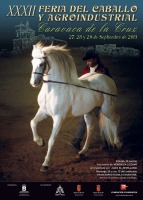Cartel Feria del Caballo 2013