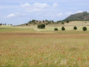 Calar de la Santa (Moratalla)