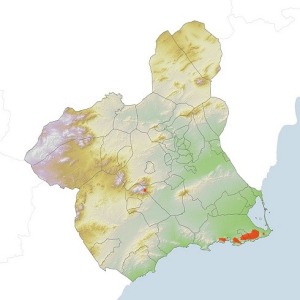 Poblaciones silvestres y cultivadas